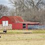 Rural Barn