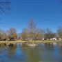 Whitaker Park