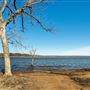 Open Area with Lake Access