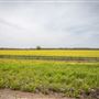 Field S 500 Rd