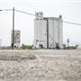 Beachner Grain