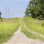 Farm Road