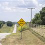 Blind Drive Sign on Country Road