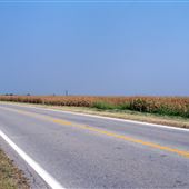Afton Cornfields