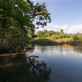 Illinois River No Head Hollow