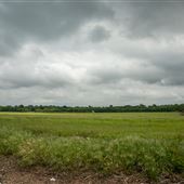N 97th E Ave Landscape
