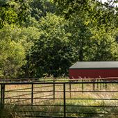 Red Barn off River Road