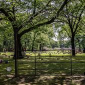 Rock Fence Cemetery