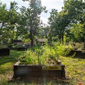 Har-ber Village Garden