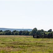 N Lewis Ave/E 66th St N Field/Horses