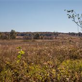 North South Road Field View