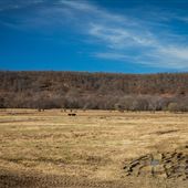 NorthSouth 424 Road Field View