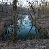 Cat Creek