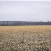 Mission Bend Public Use Area