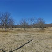 Open Land in Mayes County
