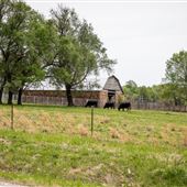 E 120 Rd Barn