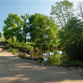 Creek by Bowling Springs