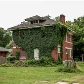 Old Brick House with Vines