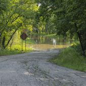 Flooded Road