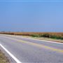 Afton Cornfields