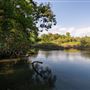 Illinois River No Head Hollow