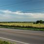 Field on HWY 85