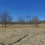 Open Land in Mayes County