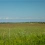 Field Views S 4310 Rd