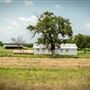 HWY 60 White House