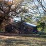 Cherokee Nation Scout Ranch