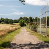 Chewey Baseball Field