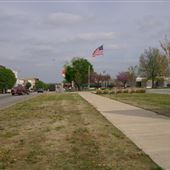 Downtown Grove