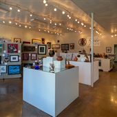 Spider Gallery