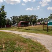 Vol Woods Saddlery Tack Shop