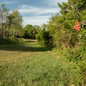 Cleora Nature Walk (Outdoor Classroom)