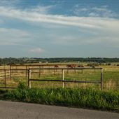 E 310 Rd/S 4520 Rd (West View)