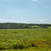 E 570 Rd S 4240 Rd Field View