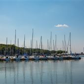 Redbud Bay Marina