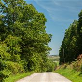 Road View E 300 Rd