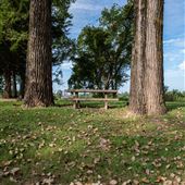 Summer Ferry Park Bench