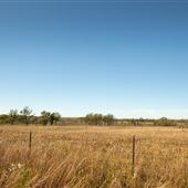 North South Road Field View 2
