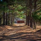 Driveway with Trees/Trailer