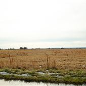 Field E 1050 Rd