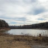 Big Hollow Creek