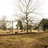 Three Rivers Cemetery
