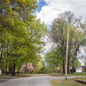 C St SW Roadview