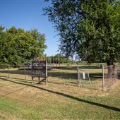 Vera Community Park