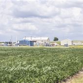 Farming Operation N 4000 Rd