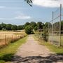 Chewey Baseball Field