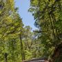 E 790 Rd